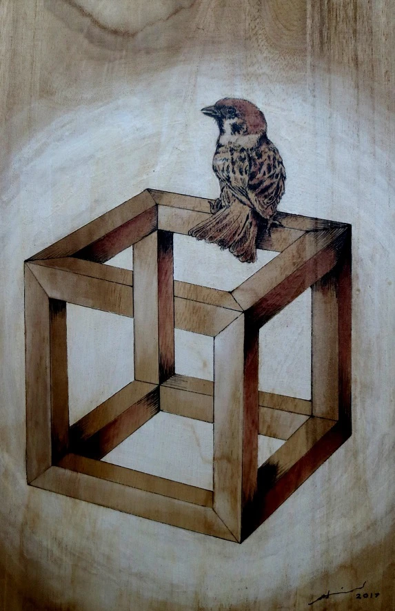 Bird in Geometry