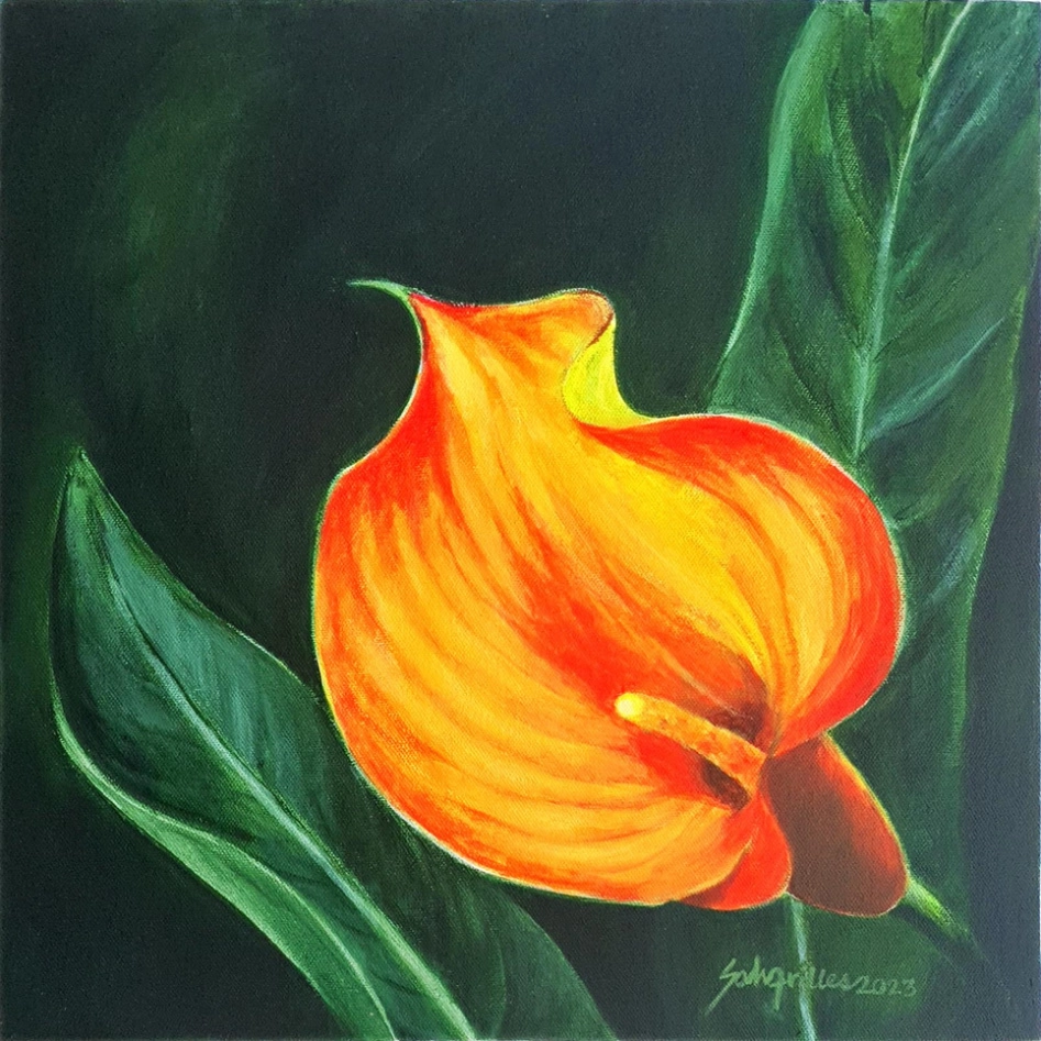 Orange Calla by Salvacion Frilles