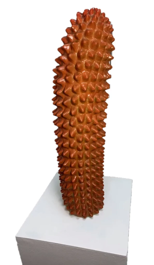 Cactus by Julie Lluch