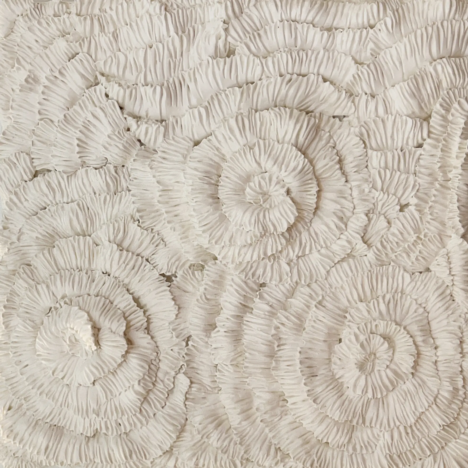 Ripples of abundance by Manelle Huang